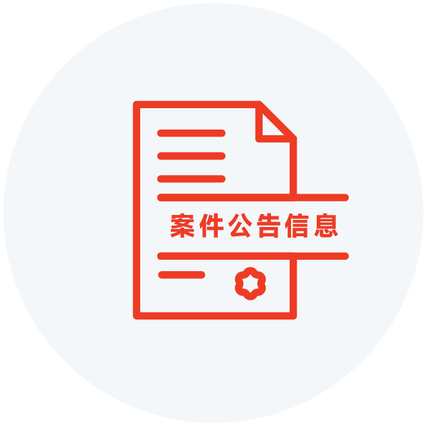 案件公告信息